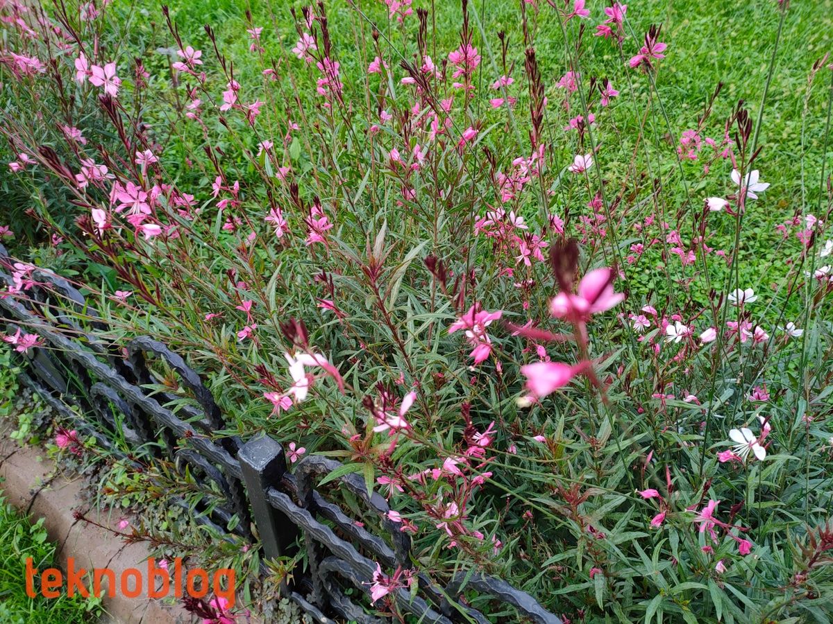 Realme 7 Pro İncelemesi