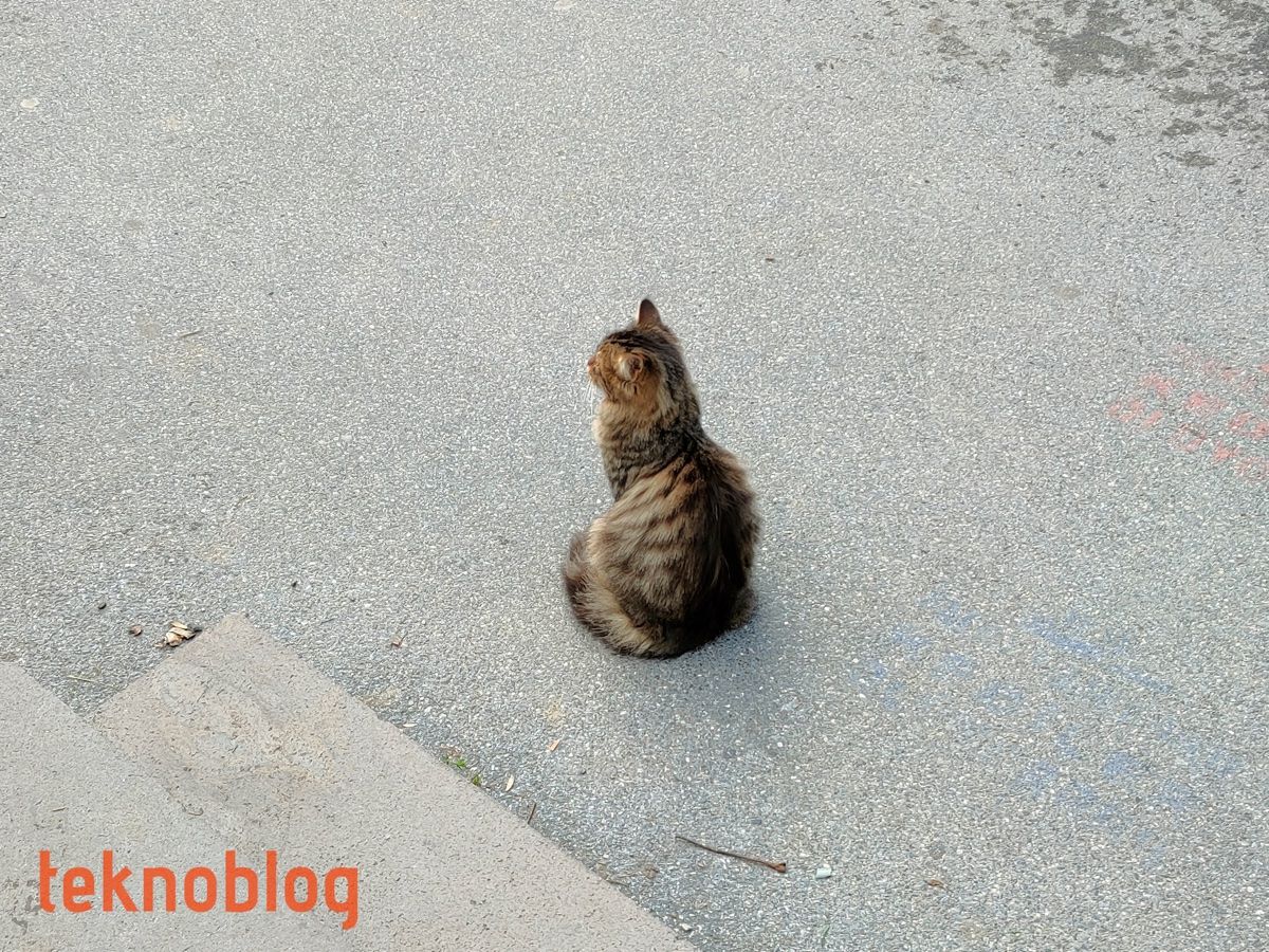 Realme 7 Pro İncelemesi