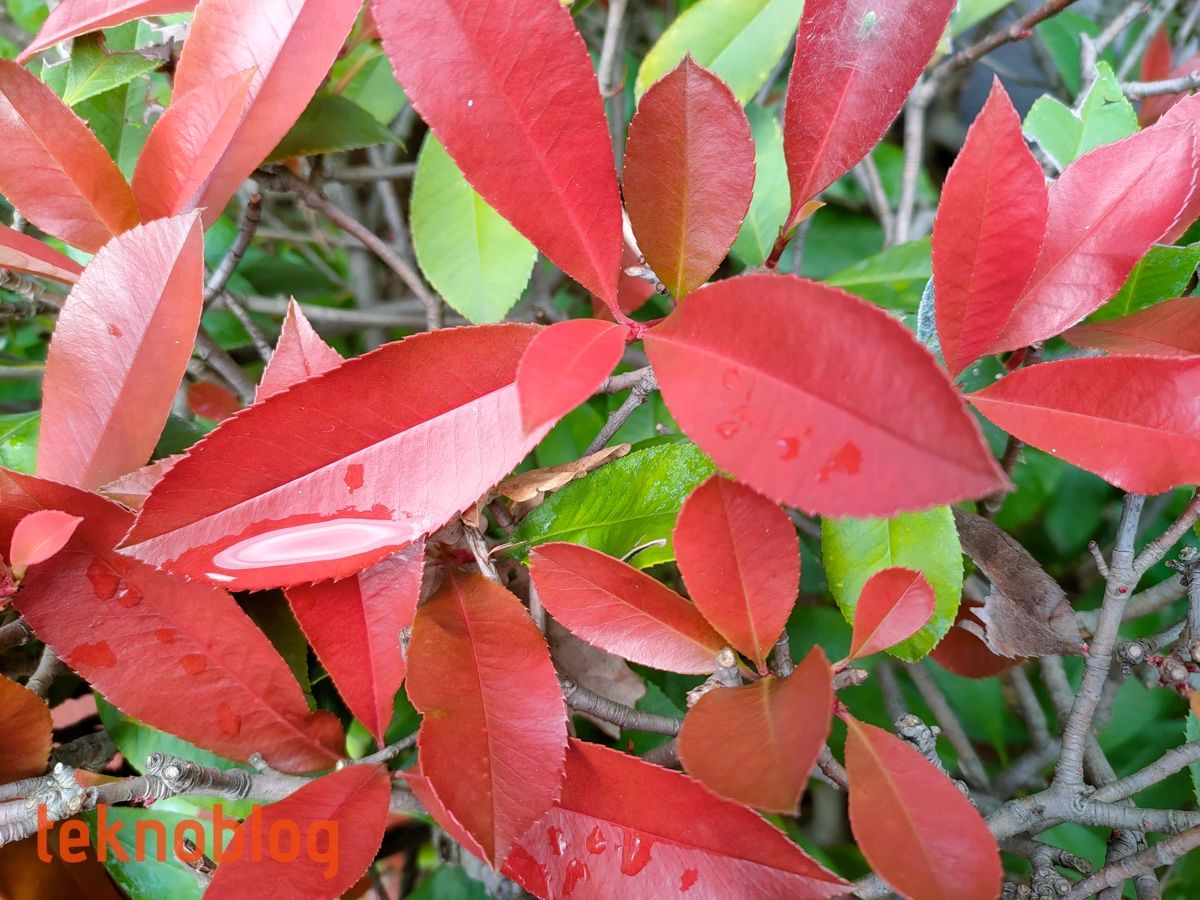 Realme 7 Pro İncelemesi