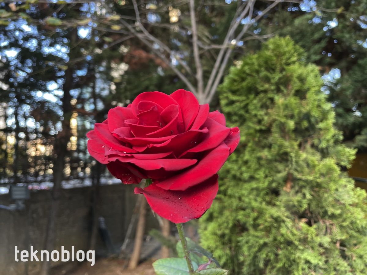 iPhone 12 Pro İncelemesi