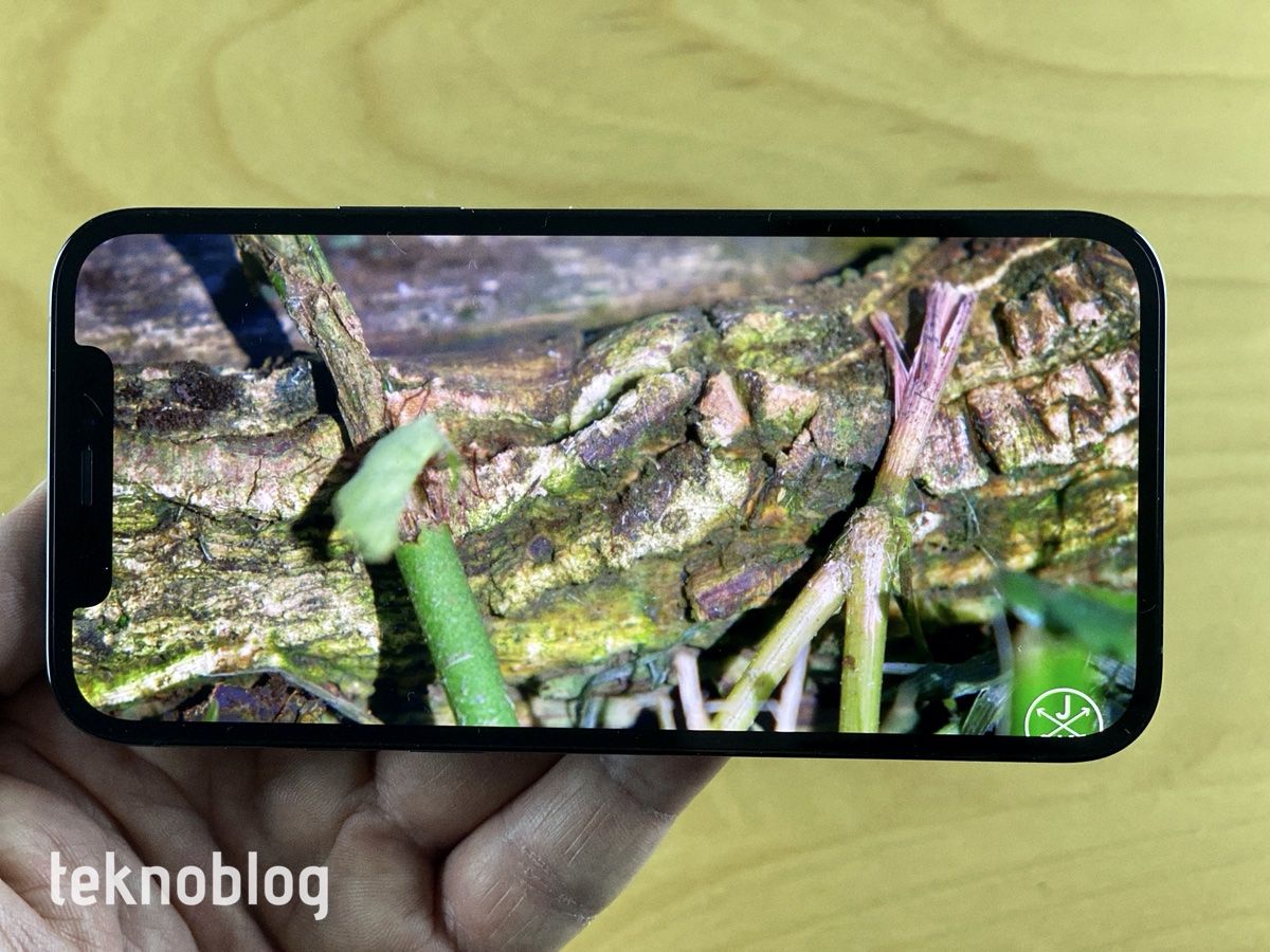 iPhone 12 Pro İncelemesi