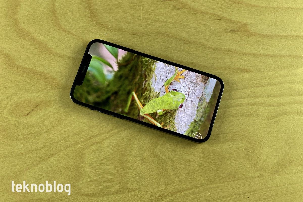 iPhone 12 Pro İncelemesi