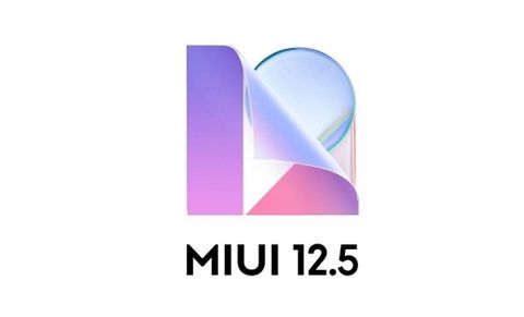 xiaomi miui 12.5