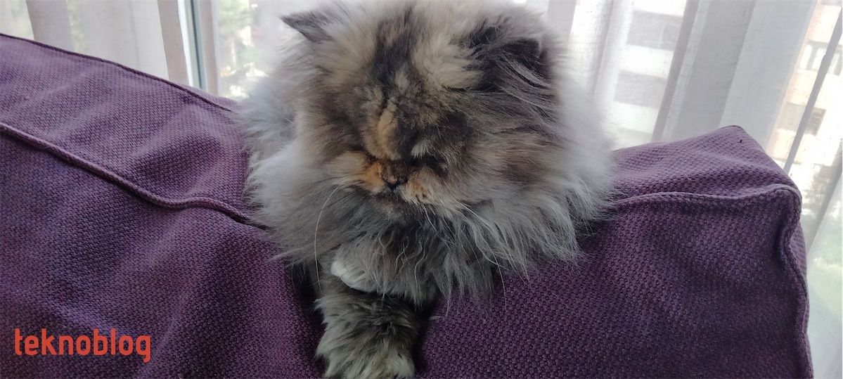 Oppo A73 İncelemesi