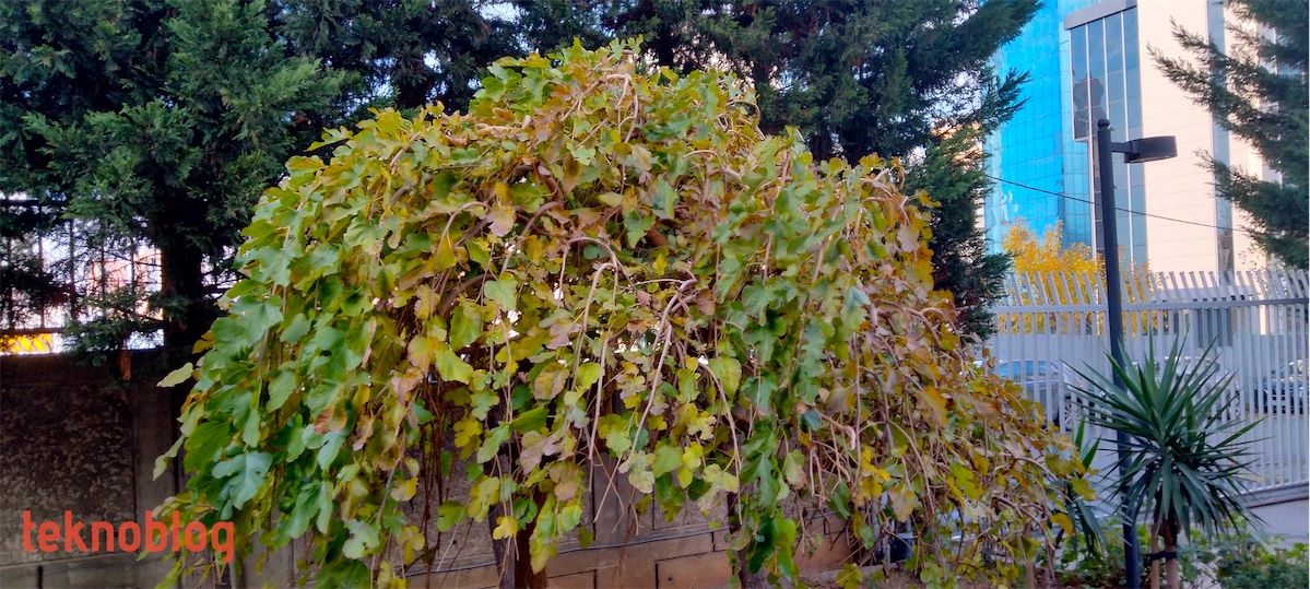 Oppo A73 İncelemesi