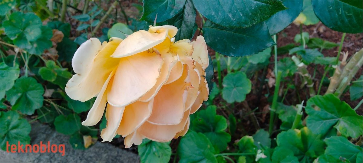 Oppo A73 İncelemesi