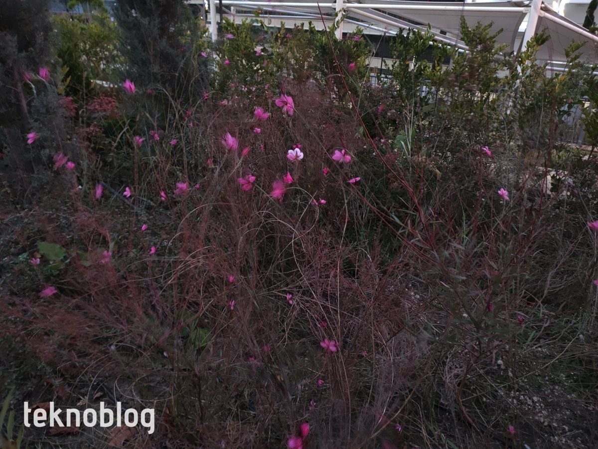 Oppo Reno 4 İncelemesi