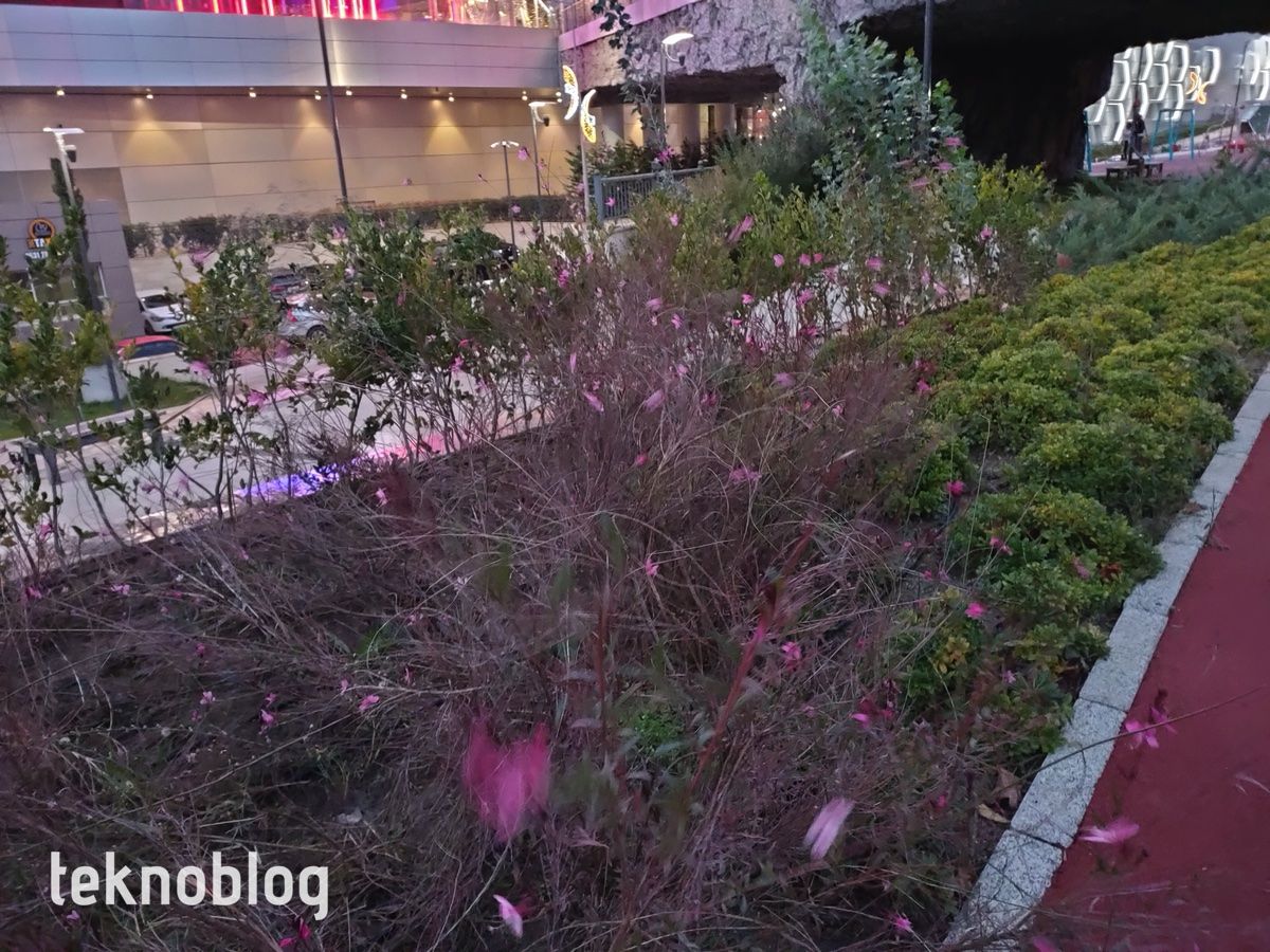 Oppo Reno 4 İncelemesi