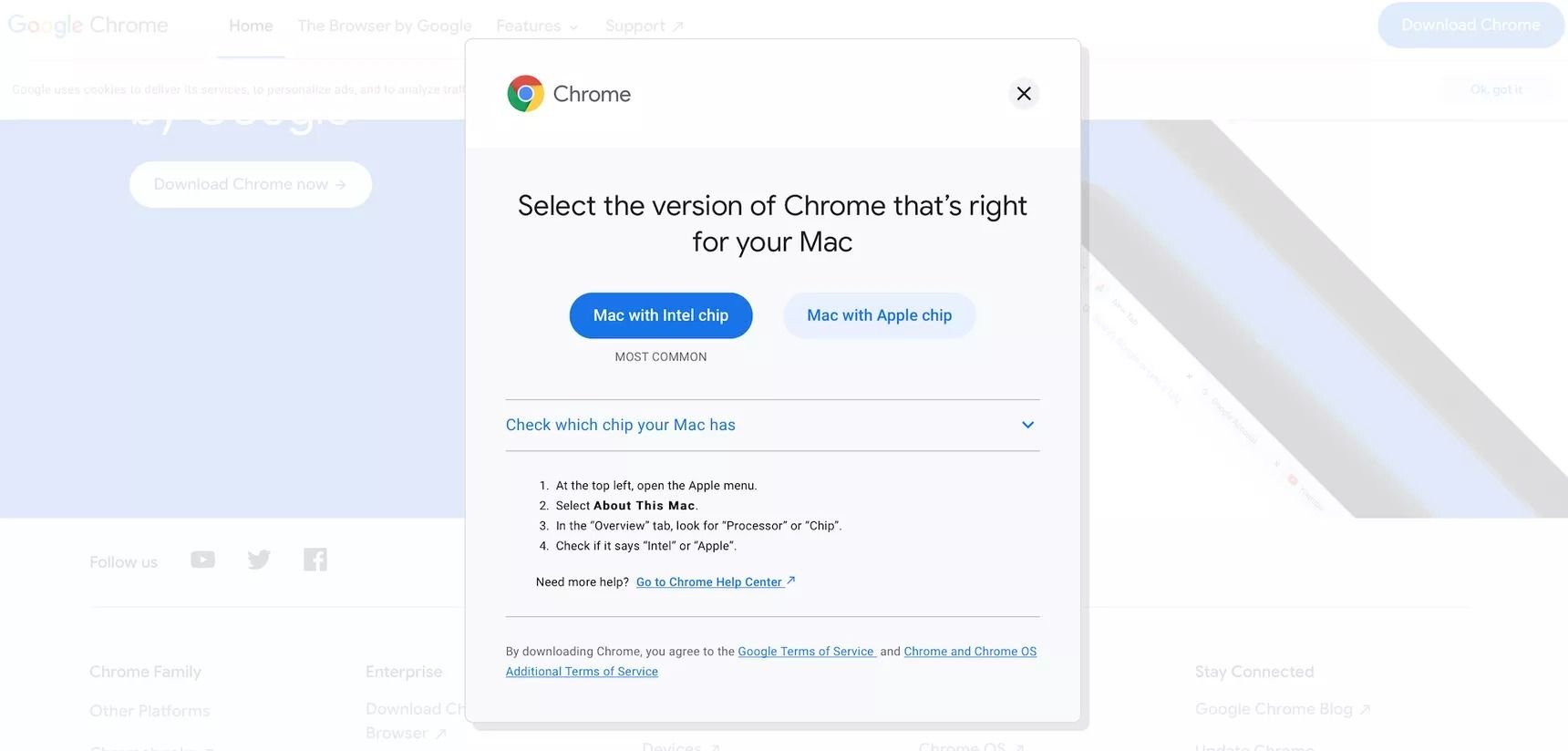 google chrome