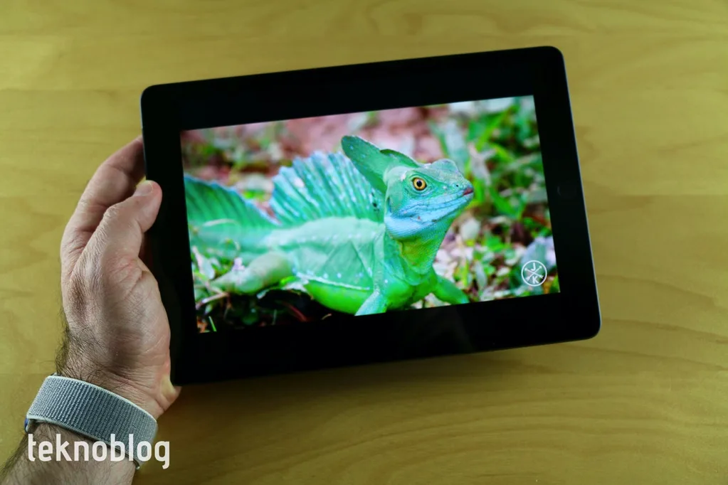 OLED iPad için oklar 2022’yi işaret ediyor