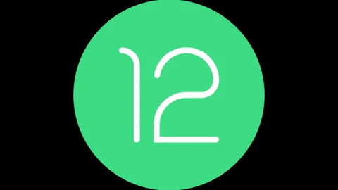 Android 12 için ilk geliştirici önizleme sürümü yayınlandı, yenilikler neler?