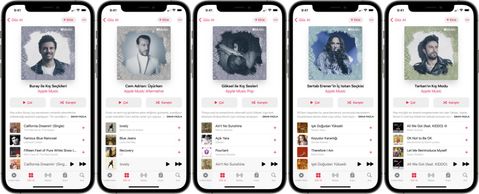 apple music kış titreşimleri