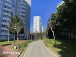iPhone 12 Pro Max ve iPhone 11 Pro Max karşı karşıya