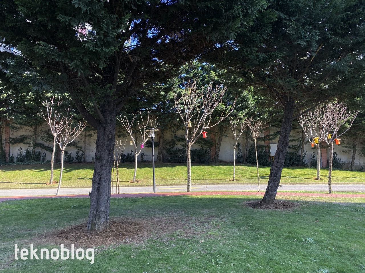 iPhone 12 Pro Max ve iPhone 11 Pro Max karşı karşıya