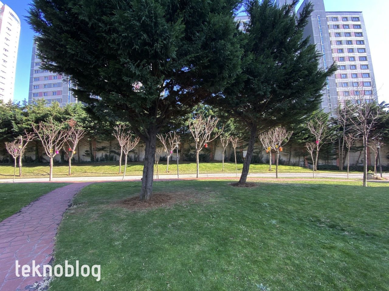 iPhone 12 Pro Max ve iPhone 11 Pro Max karşı karşıya