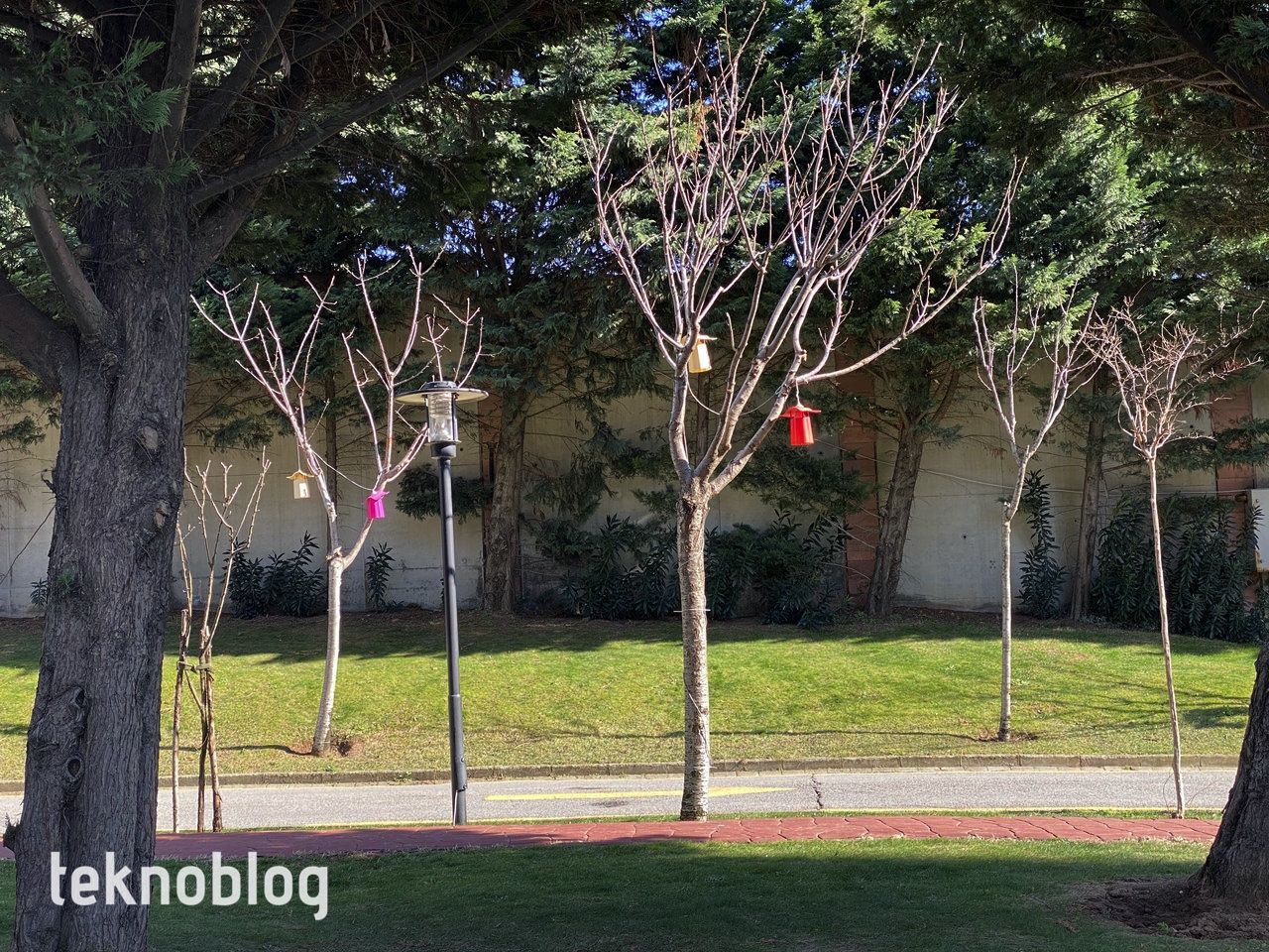 iPhone 12 Pro Max ve iPhone 11 Pro Max karşı karşıya