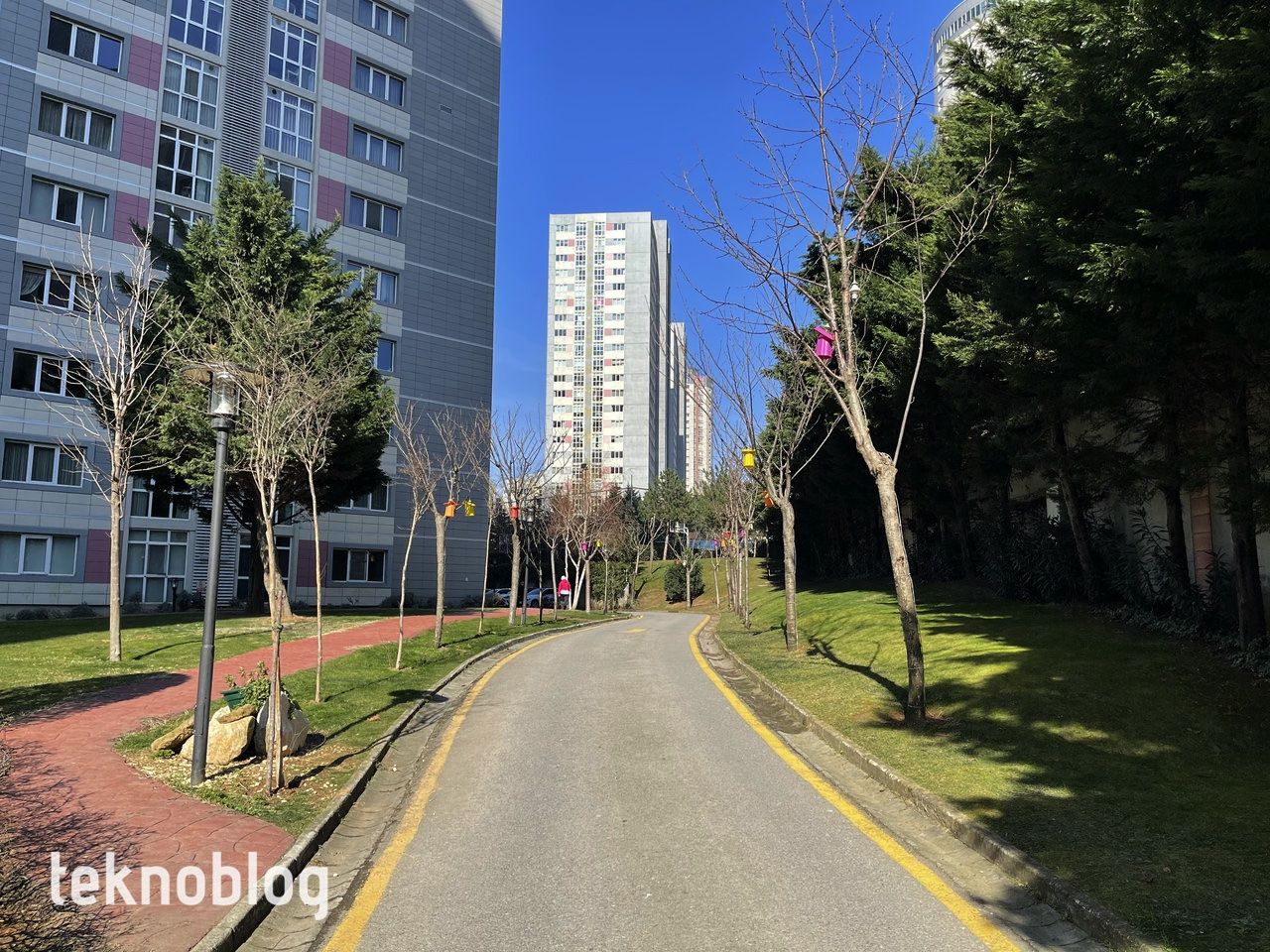 iPhone 12 Pro Max ve iPhone 11 Pro Max karşı karşıya