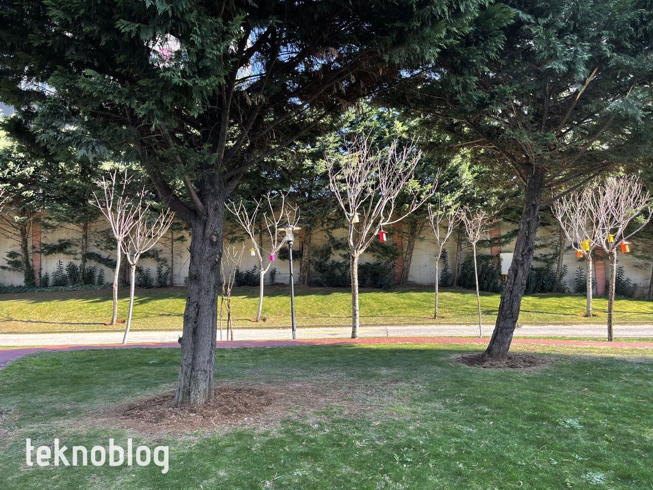 iPhone 12 Pro Max ve iPhone 11 Pro Max karşı karşıya