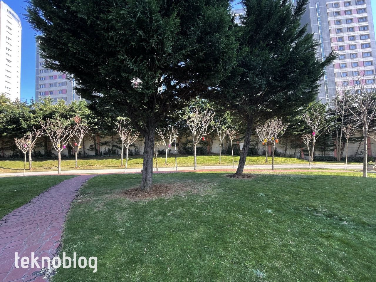 iPhone 12 Pro Max ve iPhone 11 Pro Max karşı karşıya