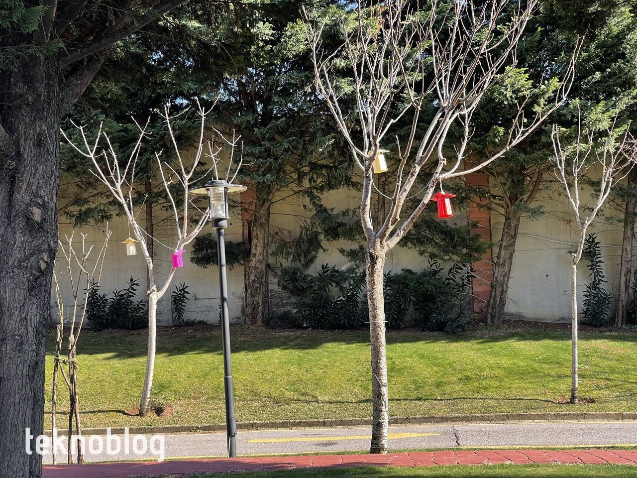 iPhone 12 Pro Max ve iPhone 11 Pro Max karşı karşıya