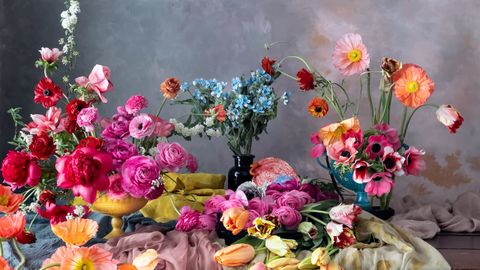 iphone 12 pro modelleriyle etkileyici çiçek fotoğrafları nasıl çekilir