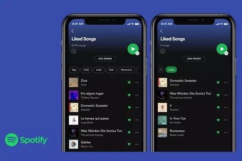 Spotify beğenilen şarkıları türe ve moda göre filtreleyecek