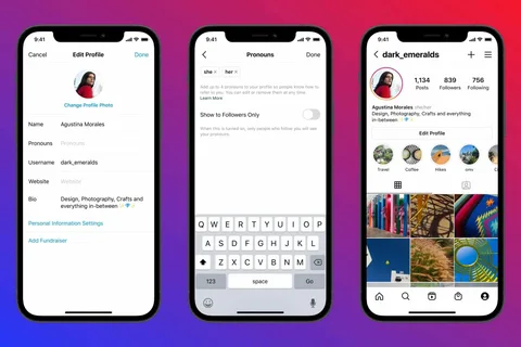 Instagram profilleri için hitap şekli ekleme seçeneği geldi