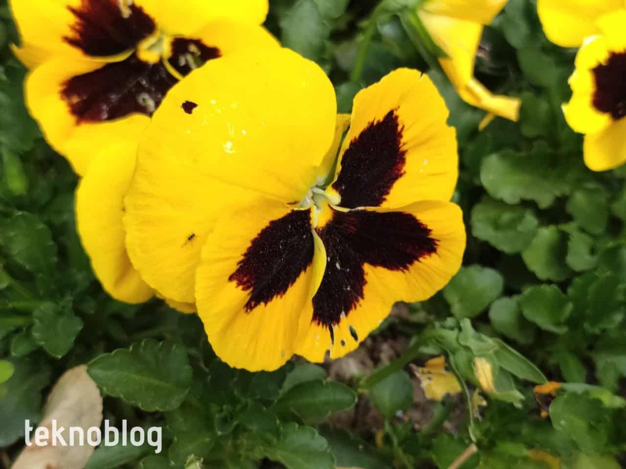 Oppo Reno 5 İncelemesi