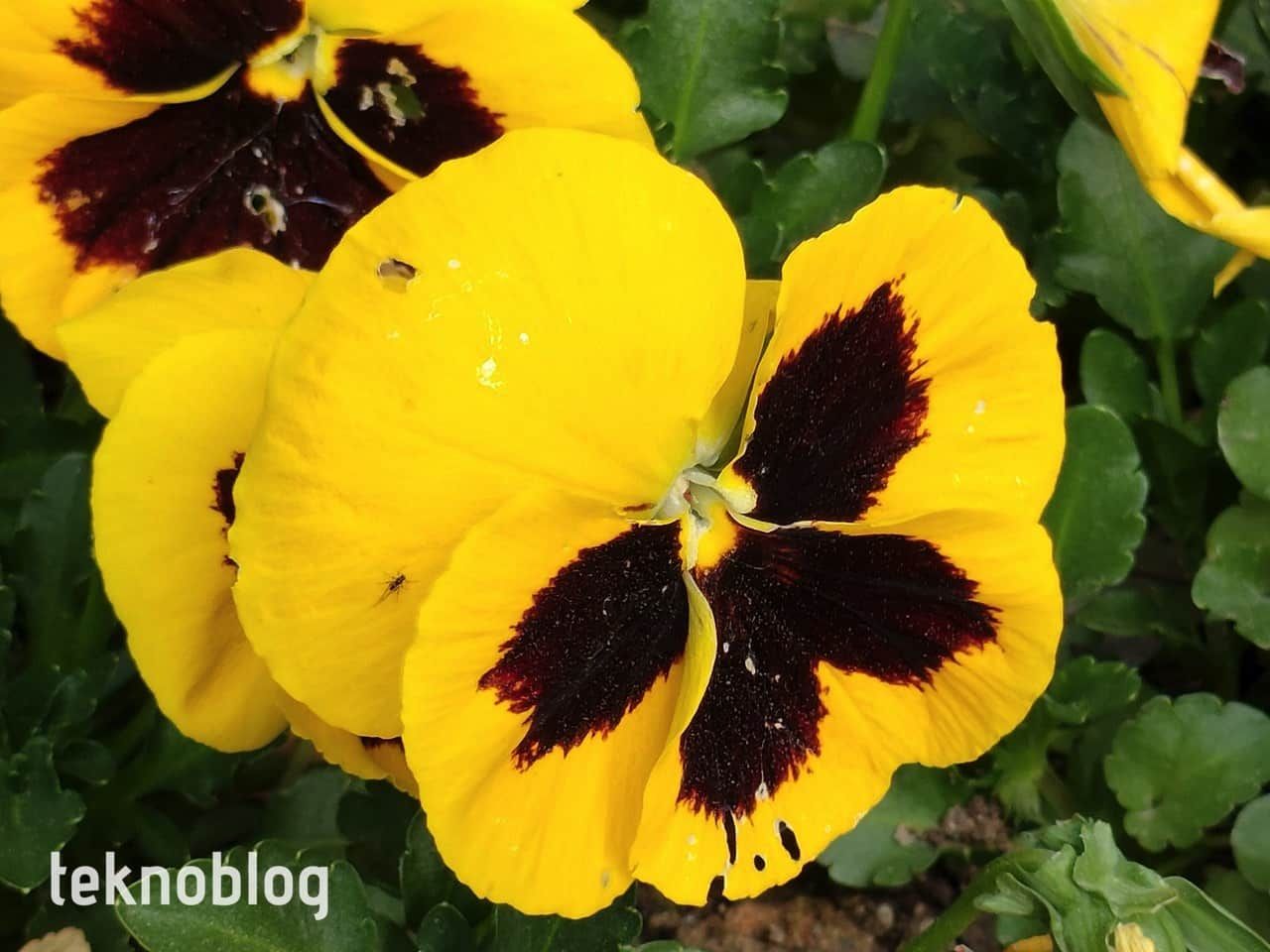 Oppo Reno 5 İncelemesi