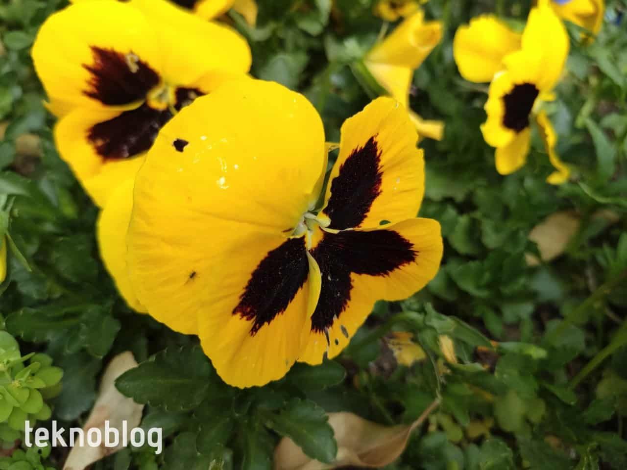 Oppo Reno 5 İncelemesi