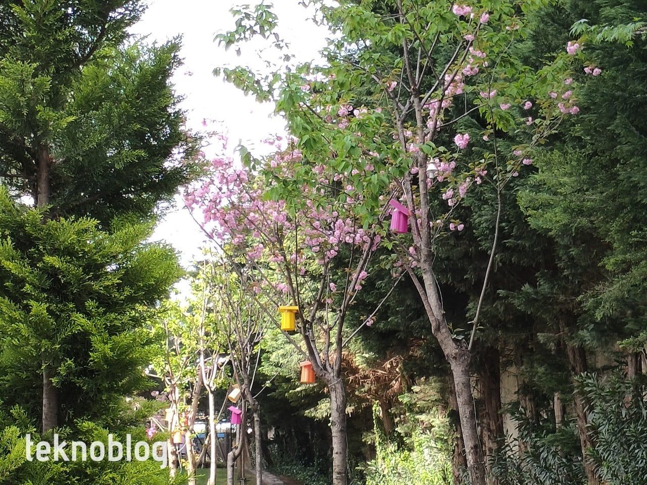 Oppo Reno 5 İncelemesi