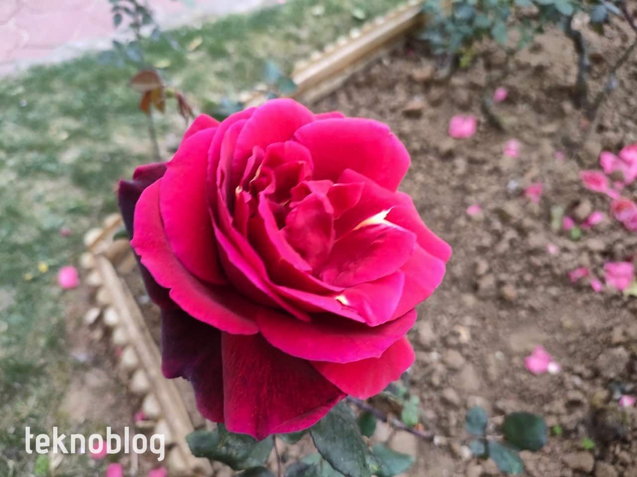 Oppo Reno 5 İncelemesi