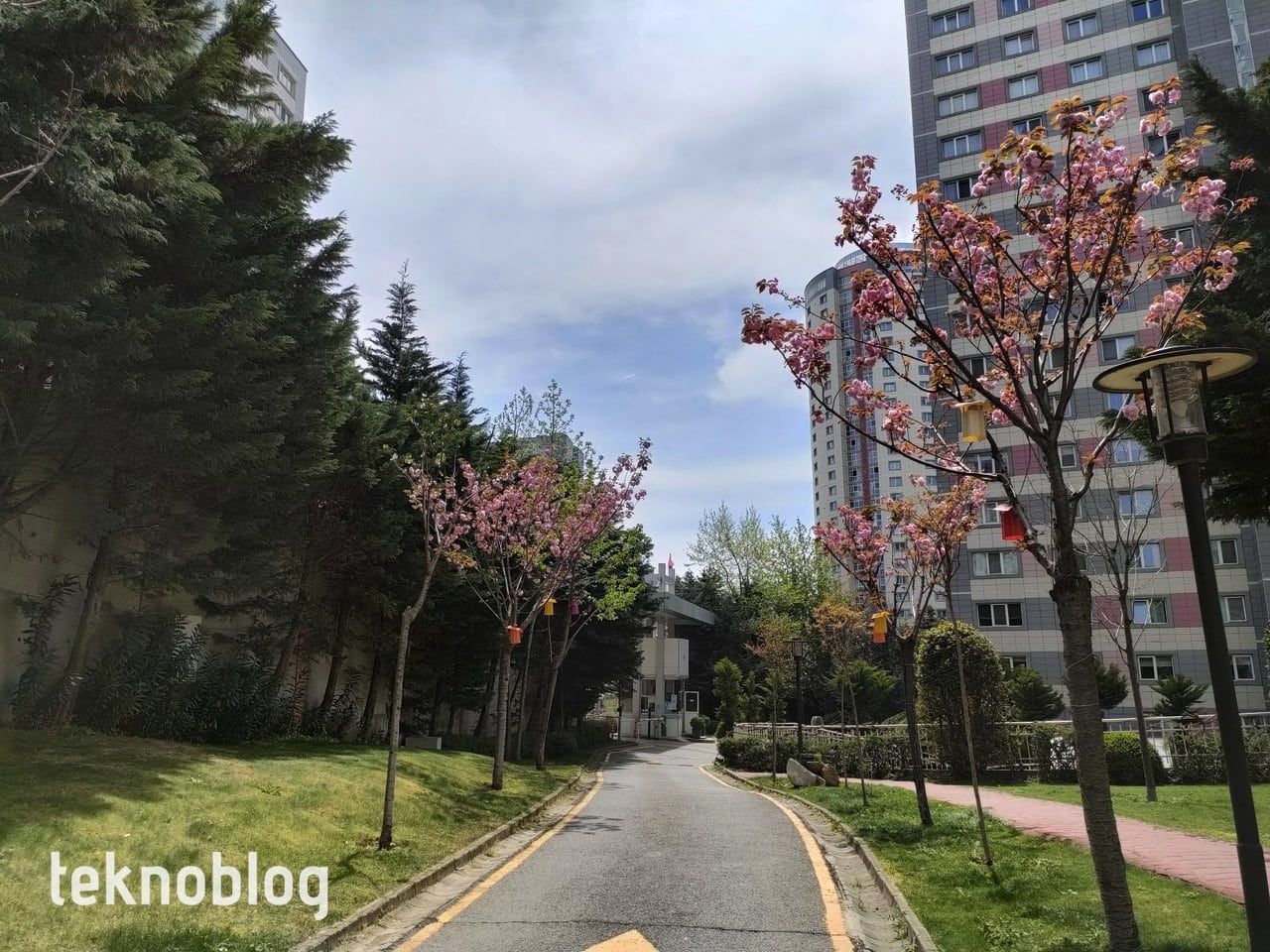 Oppo Reno 5 İncelemesi