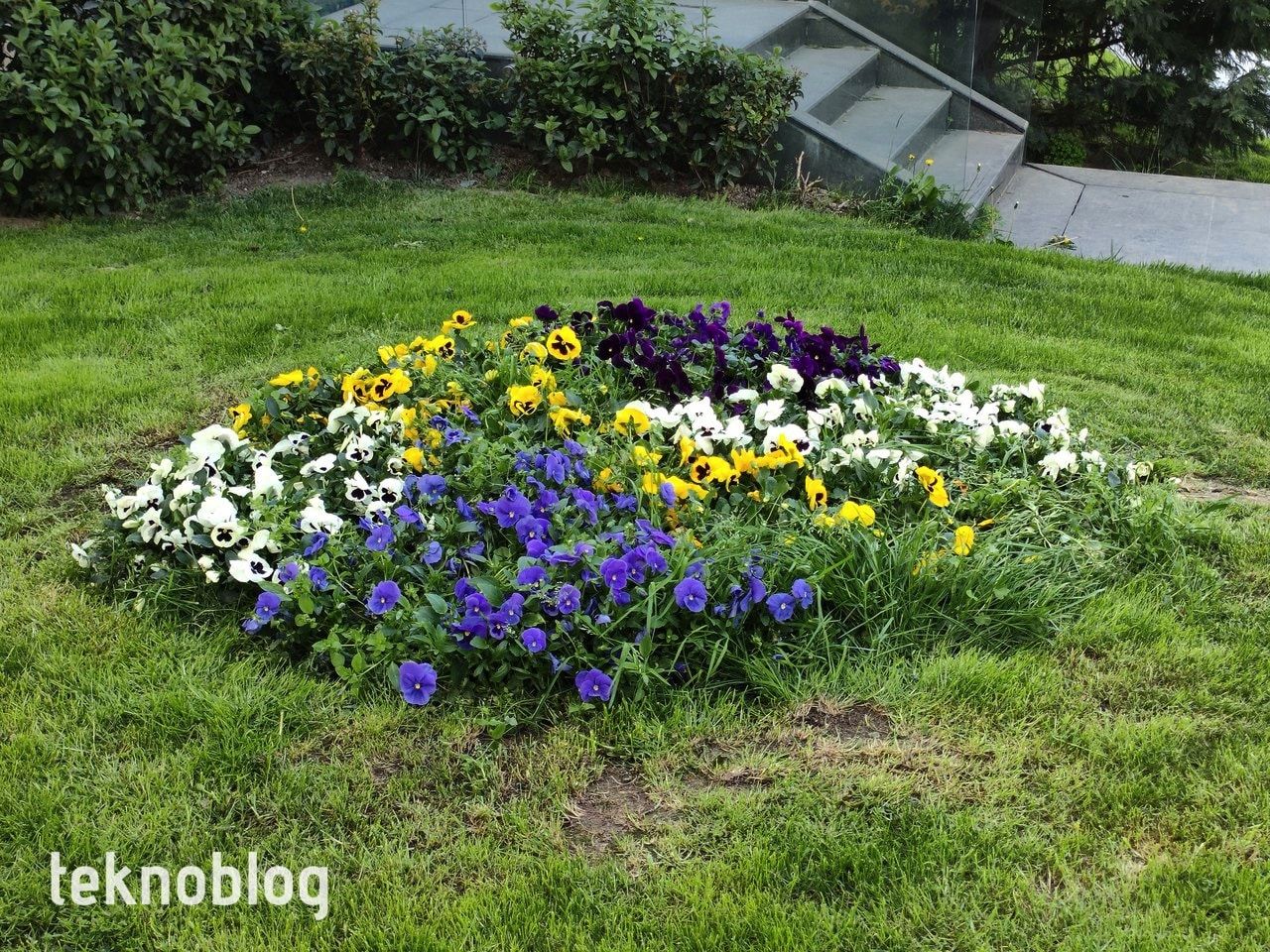 Oppo Reno 5 İncelemesi