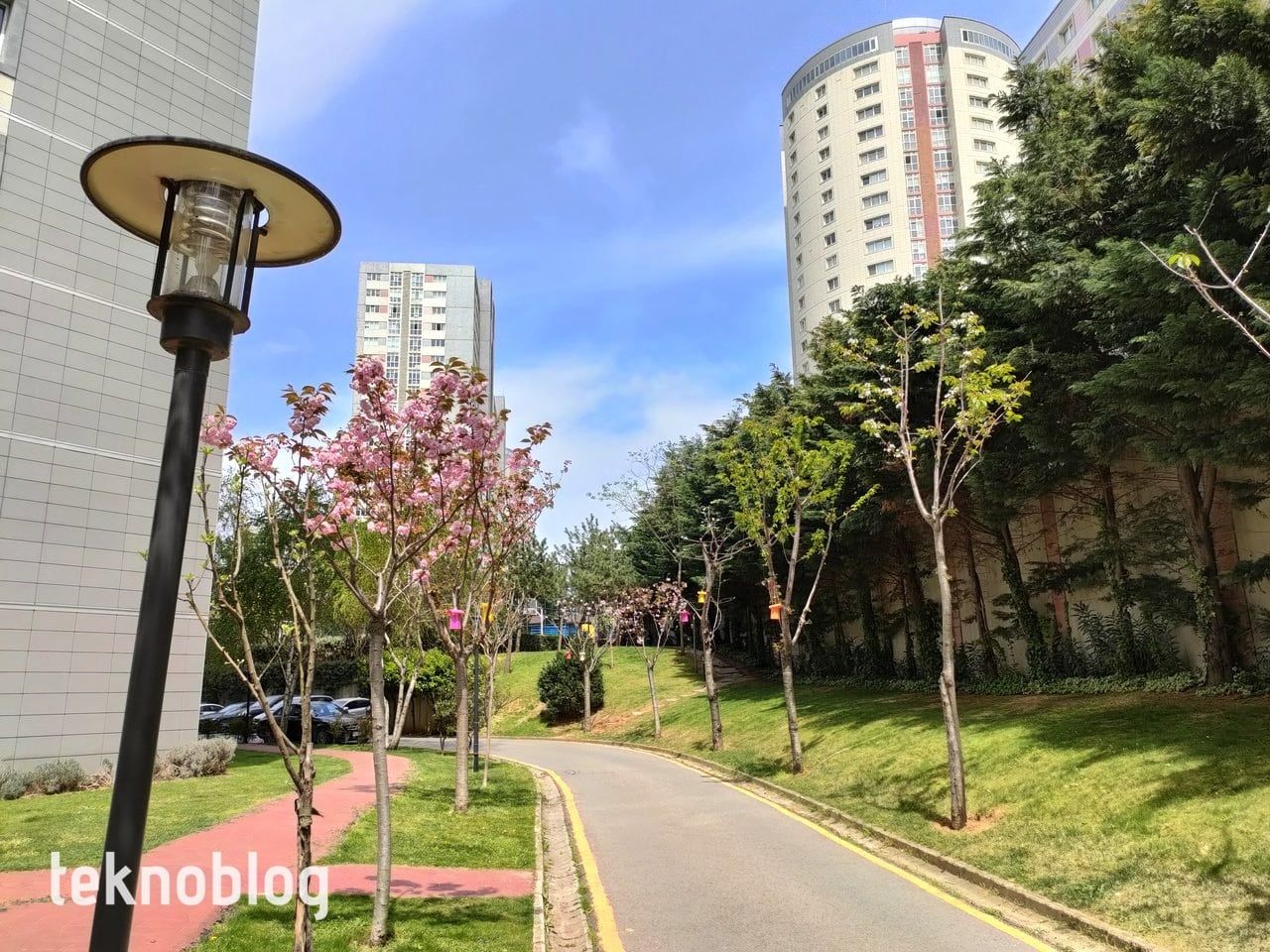 Oppo Reno 5 İncelemesi