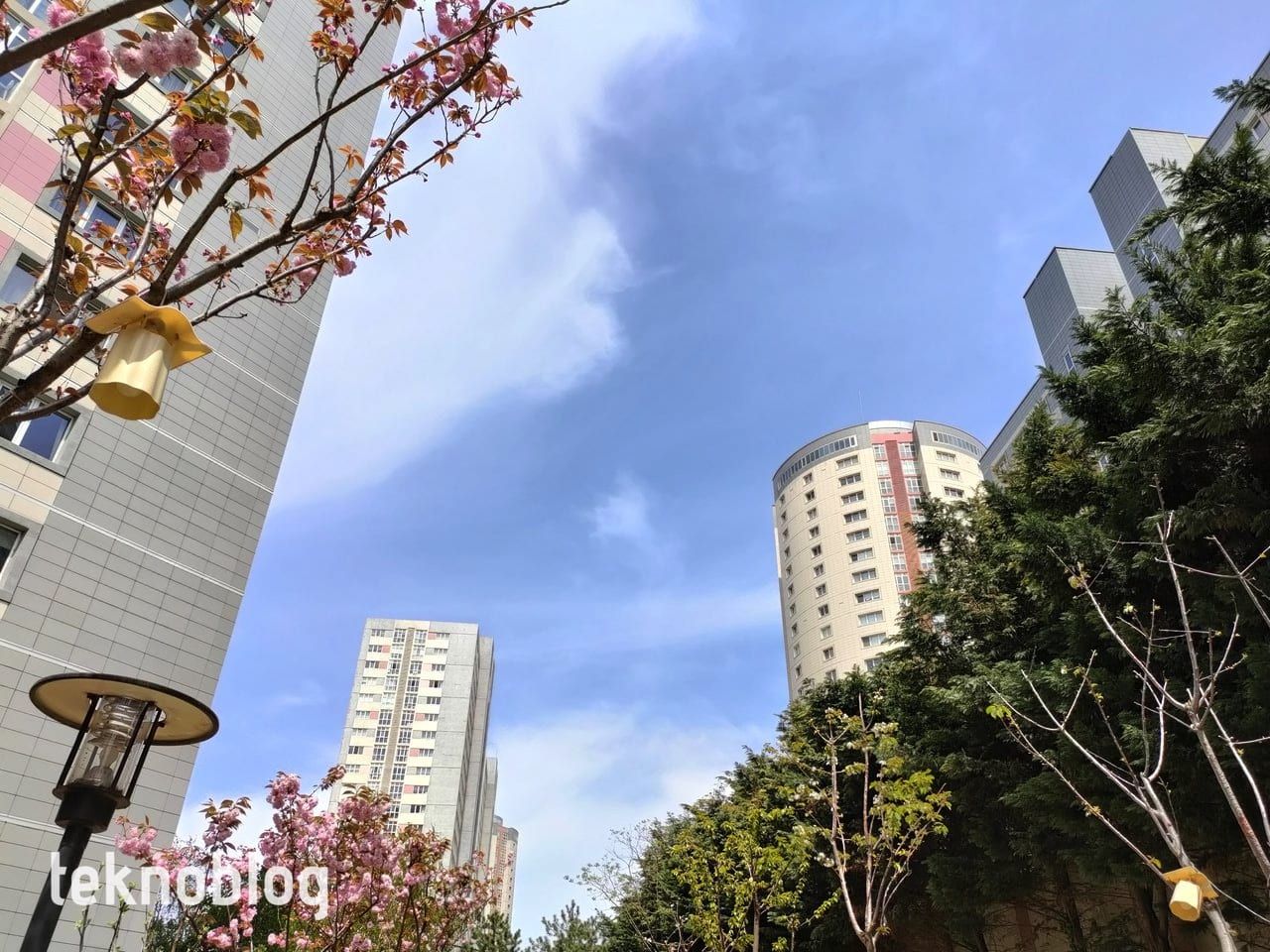 Oppo Reno 5 İncelemesi