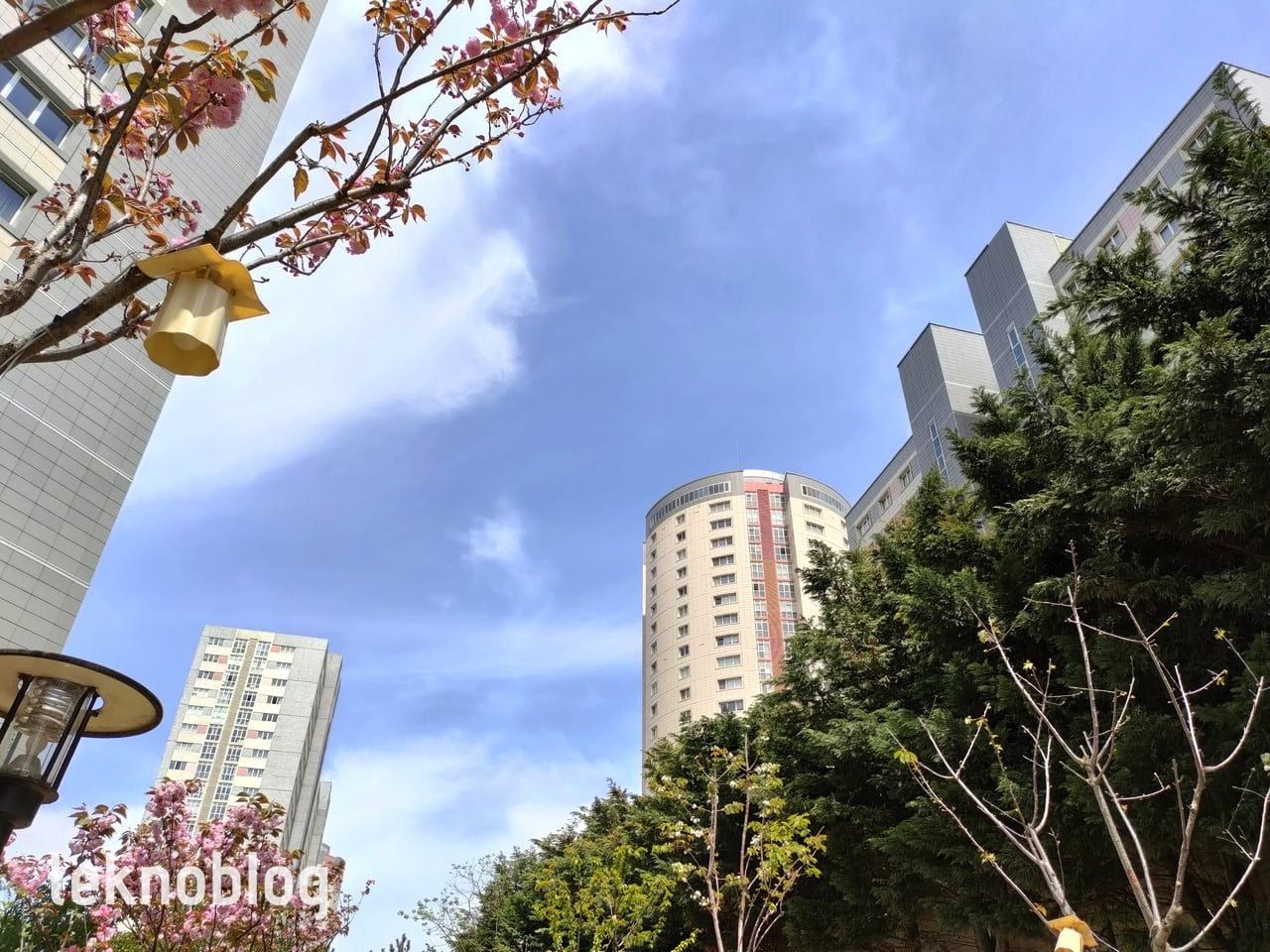 Oppo Reno 5 İncelemesi