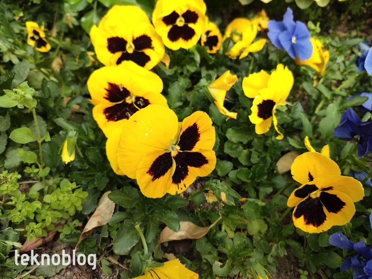 Oppo Reno 5 İncelemesi