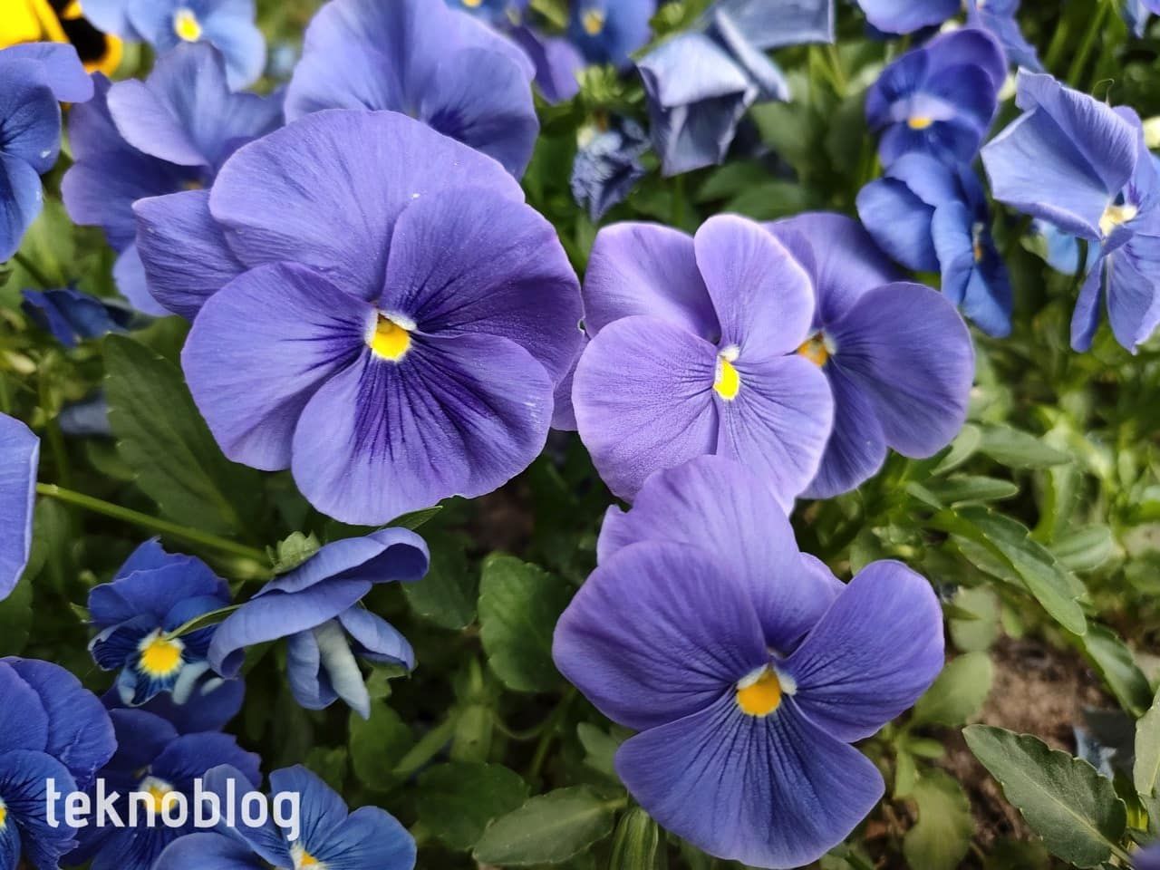 Oppo Reno 5 İncelemesi