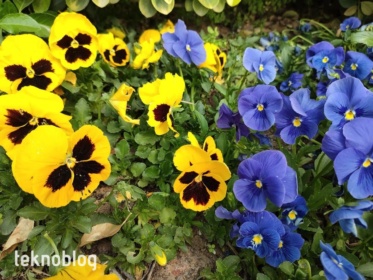 Oppo Reno 5 İncelemesi