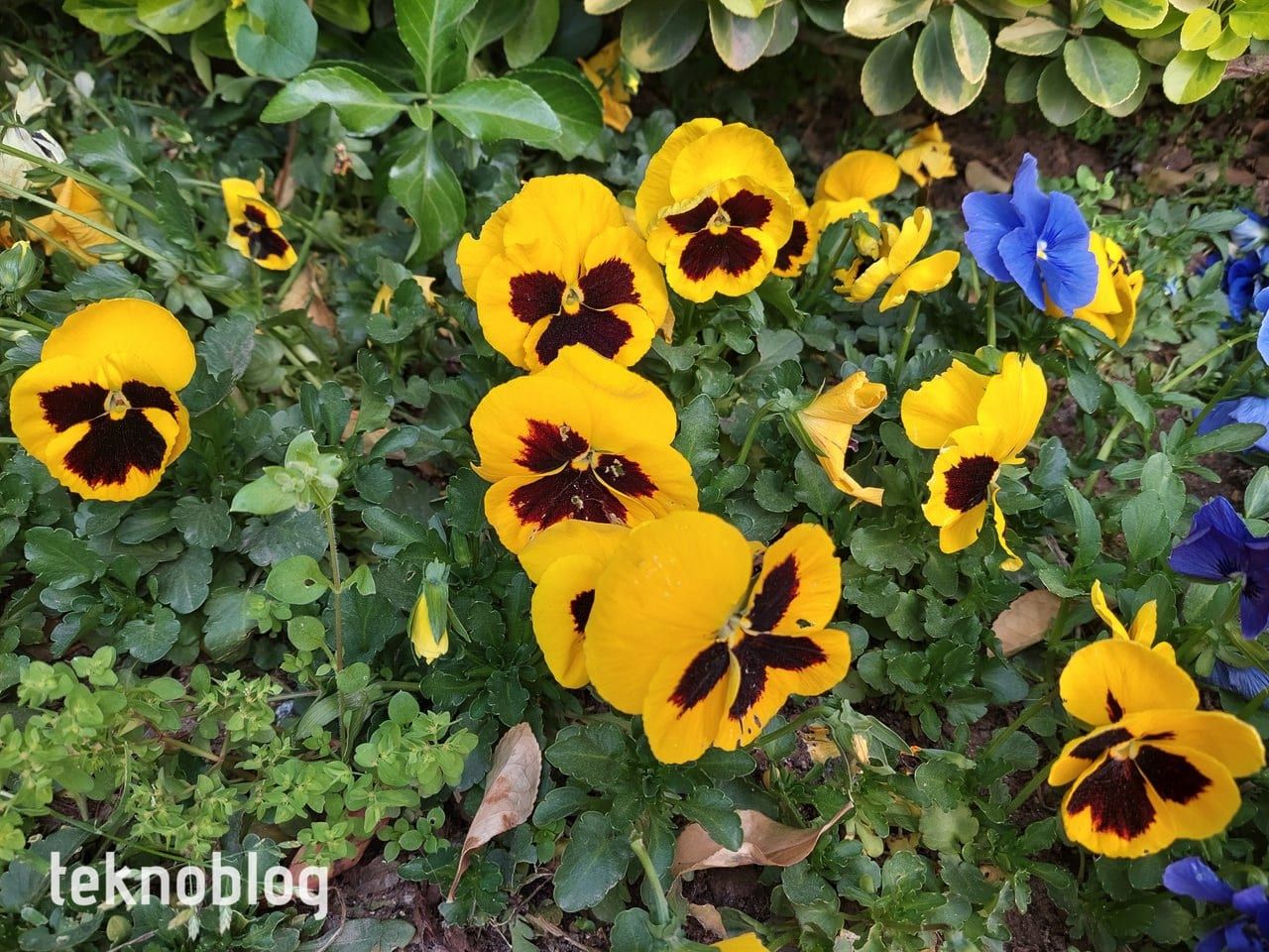 Samsung Galaxy A72 İncelemesi