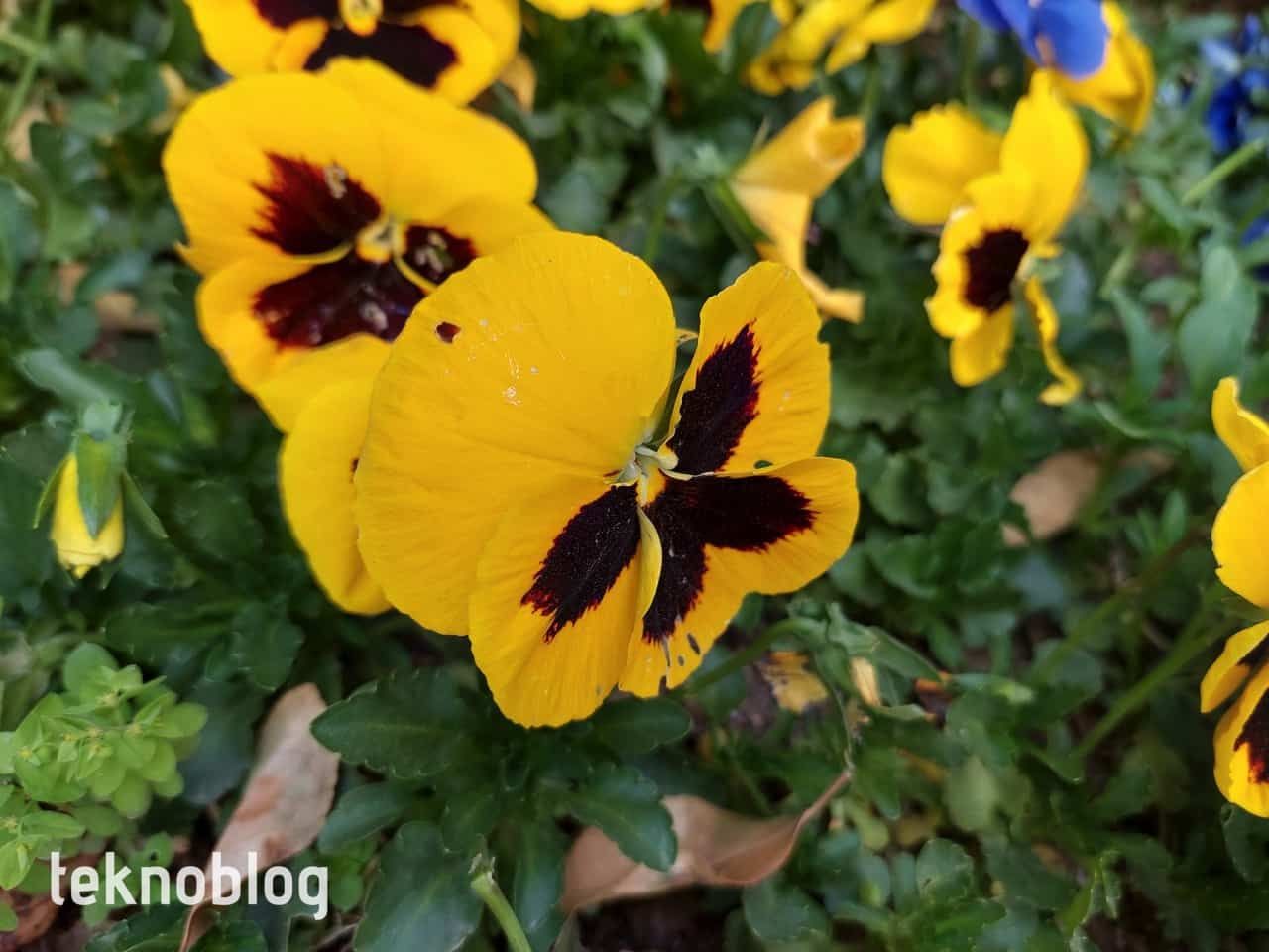 Samsung Galaxy A72 İncelemesi