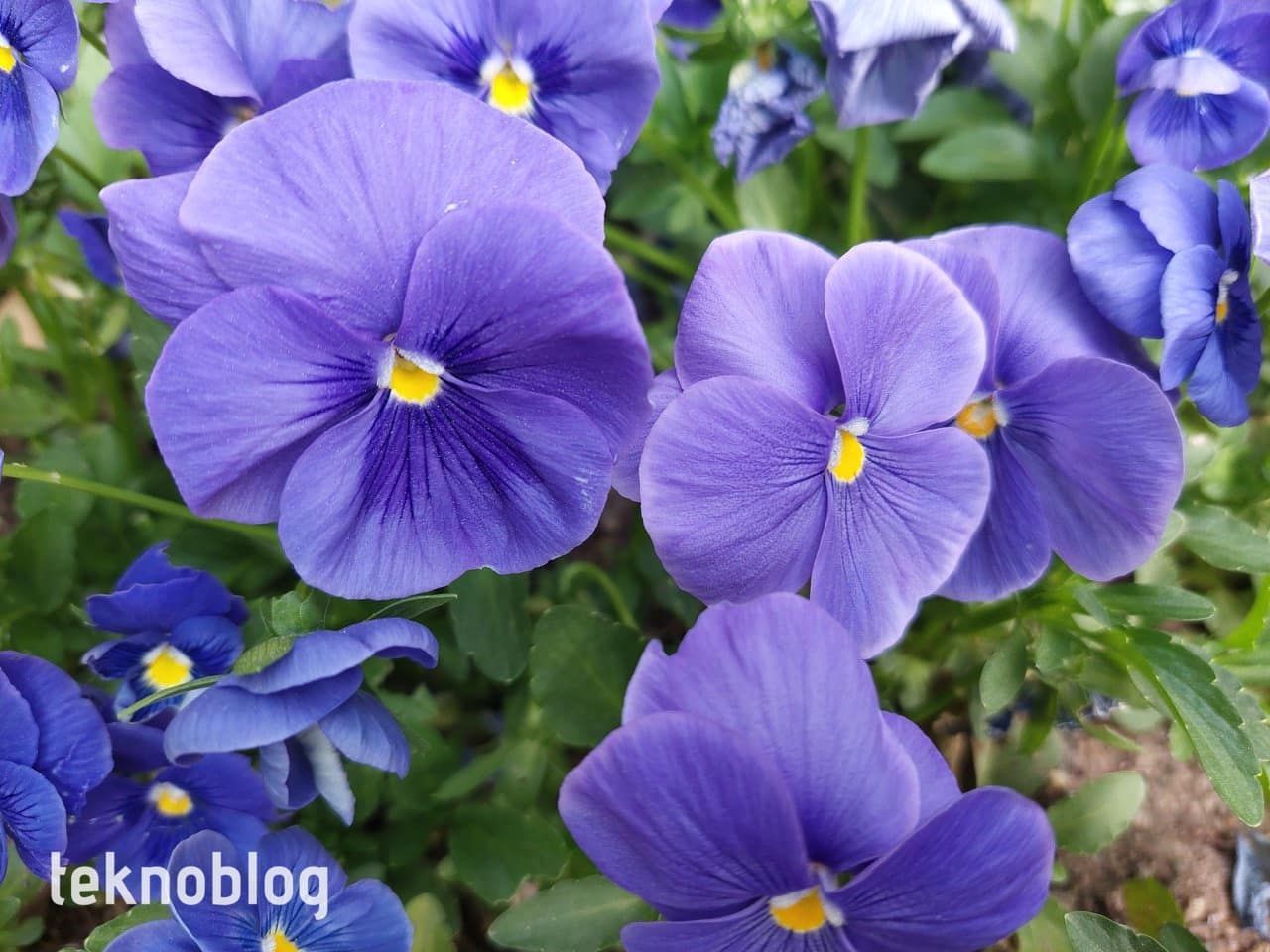 Samsung Galaxy A72 İncelemesi