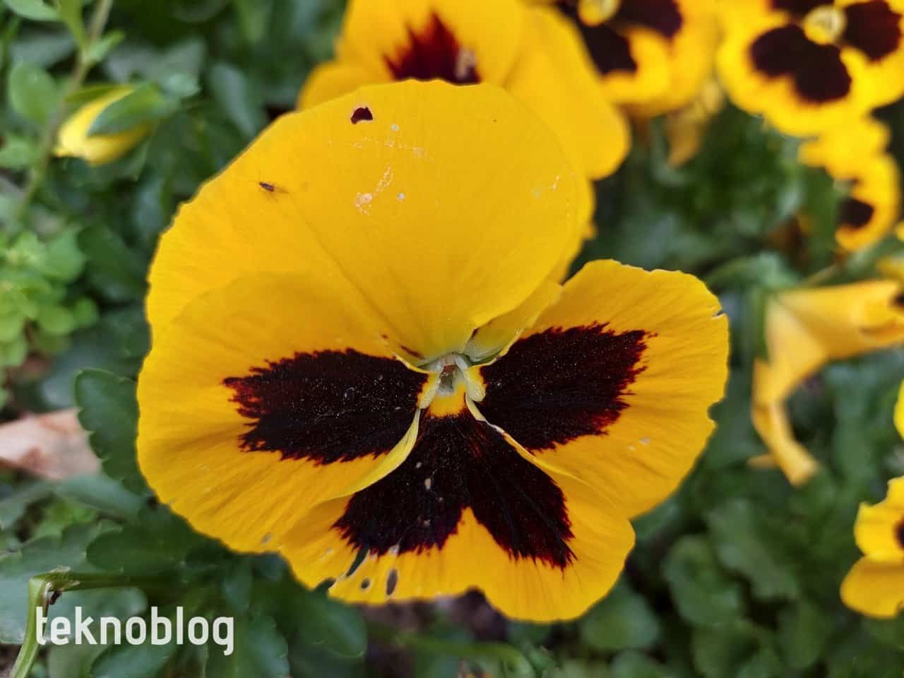 Samsung Galaxy A72 İncelemesi