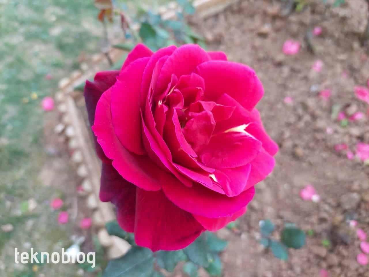 Samsung Galaxy A72 İncelemesi