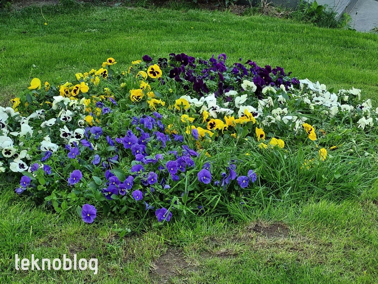 Samsung Galaxy A72 İncelemesi