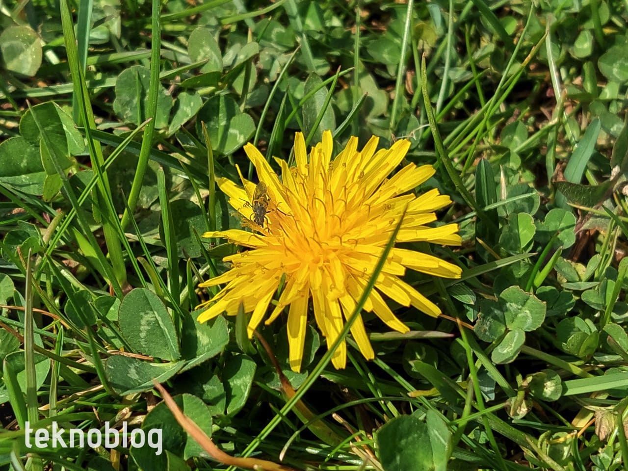 Samsung Galaxy A72 İncelemesi