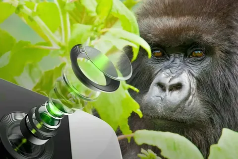 Corning akıllı telefon kameraları için özel bir Gorilla Glass çıkarıyor