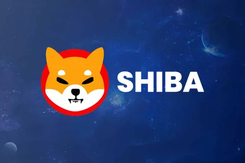Shiba Nedir? Nerelerden Alınır?