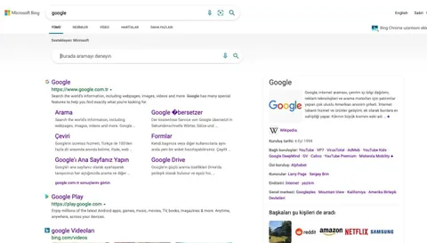 Google’a göre rakip Bing’de en çok “Google” terimi aranıyor